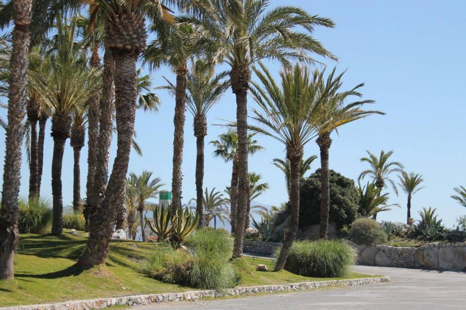 Coral Paradise Apartment With Swimming Pool La Herradura (Granada) Exterior foto